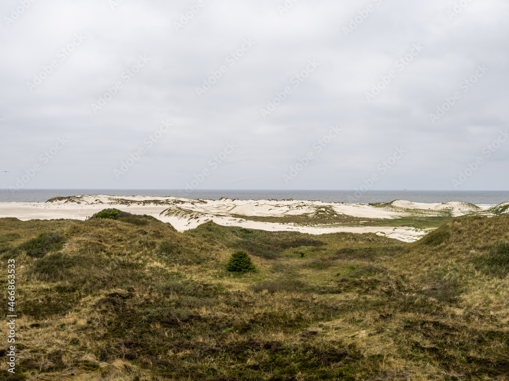 Sand dune landscape called The Planks Way on the island of Amrum, Germany.