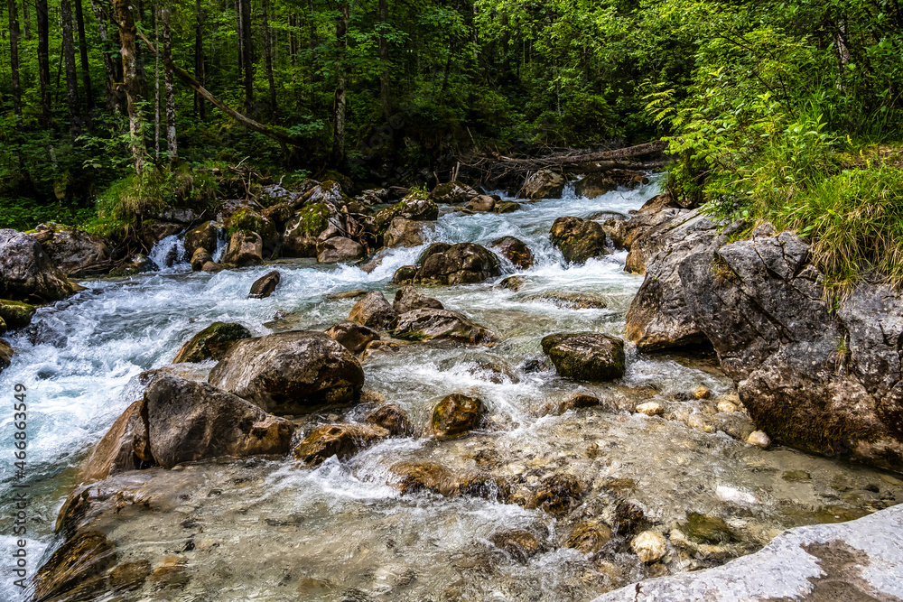 Magic Forest Zauberwald at Lake Hintersee with Creek Ramsauer Ache. National Park Berchtesgadener Land, Germany Magic Forest Zauberwald at Lake Hintersee with Creek Ramsauer Ache. National Park Berchtesgadener Land, Germany
