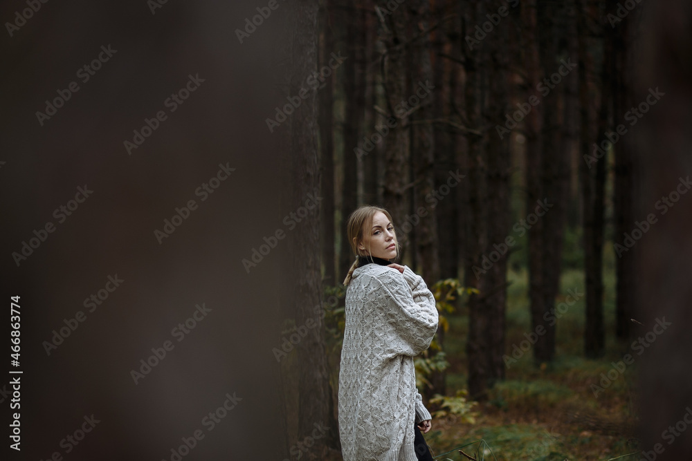 portrait of a girl in black with a light cape among the autumn forest portrait of a girl in black with a light cape among the autumn forest