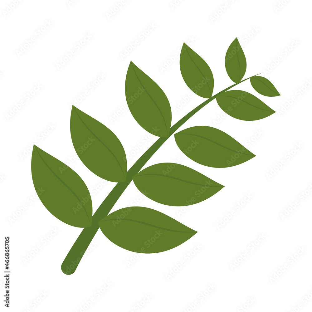 leaves branch icon