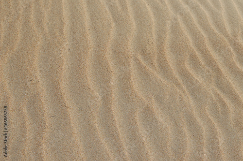 Sand texture. Sandy beach for background. Top view. Natural sand stone texture background. sand on the beach as background. Wavy sand background for summer designs. © Lesya