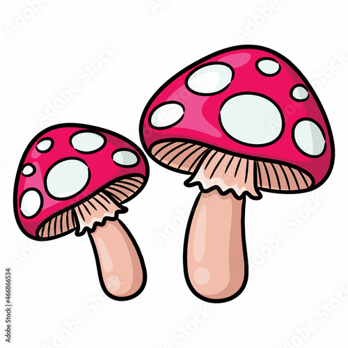 mushroom cartoon photo