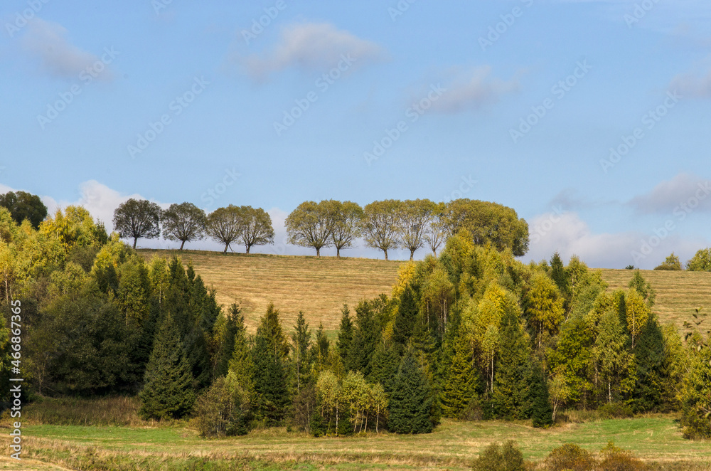 Obraz premium Bieszczadzkie panoramy 