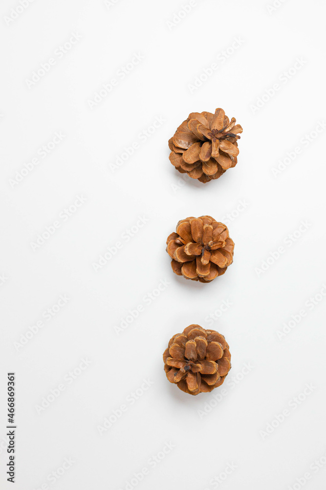 Christmas pine cones on white paper border composition. Christmas, winter, new year concept. Flat lay, top view Christmas pine cones on white paper border composition. Christmas, winter, new year concept. Flat lay, top view