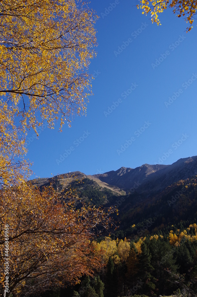 Forêt et montagne aux couleurs bucoliques de l'automne dans les Pyrénées