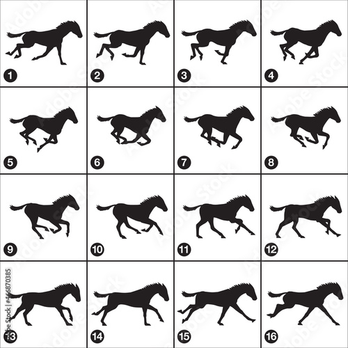 horse gallop sequence 16 frames silhouette