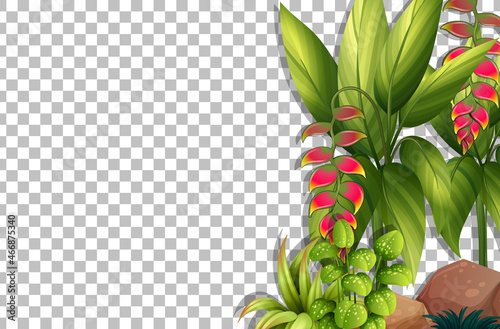 Tropical leaves frame template on transparent background