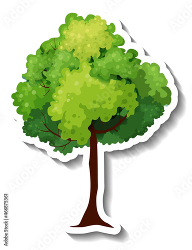 Tree sticker on white background