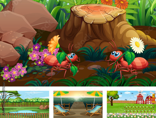 Four different nature horizontal scene