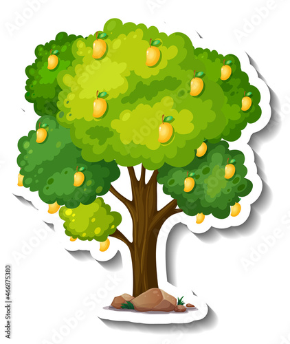 Mango tree sticker on white background