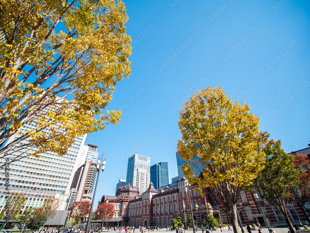 秋晴れの東京駅丸の内の風景