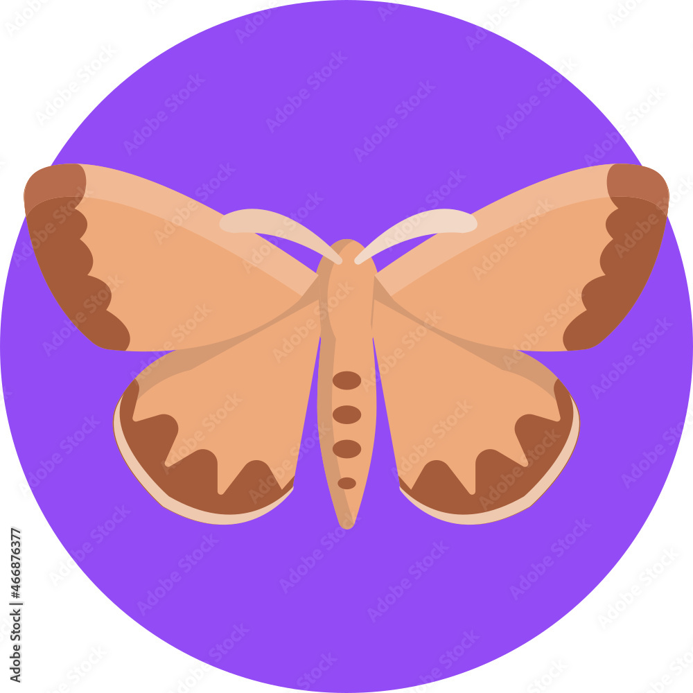 Moth. Insects and Bugs Icon. Moth. Insects and Bugs Icon.