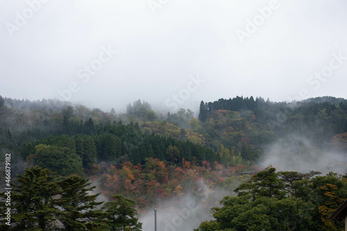 玖珠郡九重町 九重”夢”大吊橋