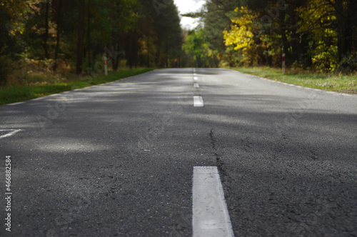 Asphalt road through the autumn forest