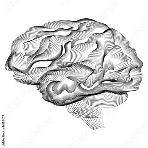 Abstract vector dynamic linear brain illustration. Creative black and white human body part