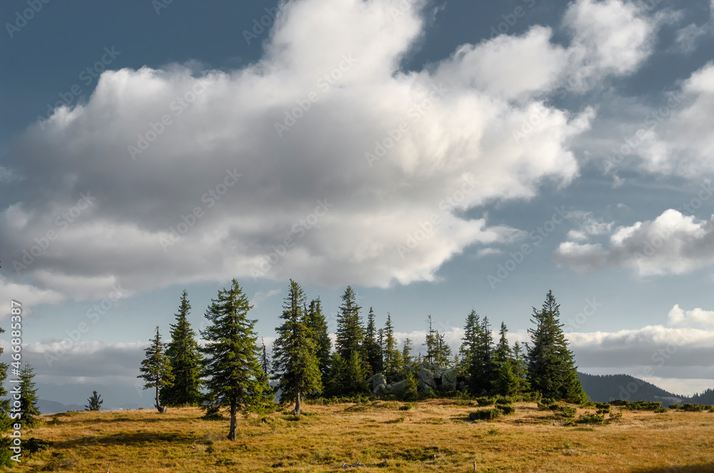 Tranquil mountain valley. Tranquil mountain valley.