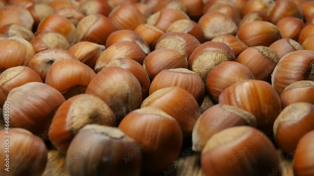 Close-up, DOF, Rotation: Whole, inshell hazelnuts rotate cyclically Close-up, DOF, Rotation: Whole, inshell hazelnuts rotate cyclically