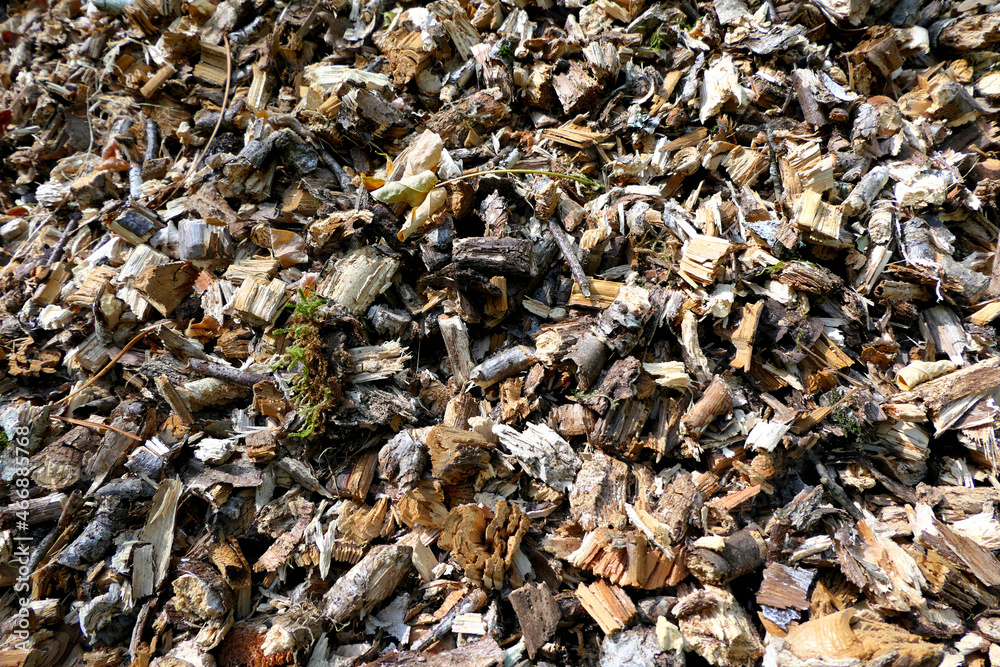 Close up of wood chippings from an electric shredder - ideal for compost or as heating material
