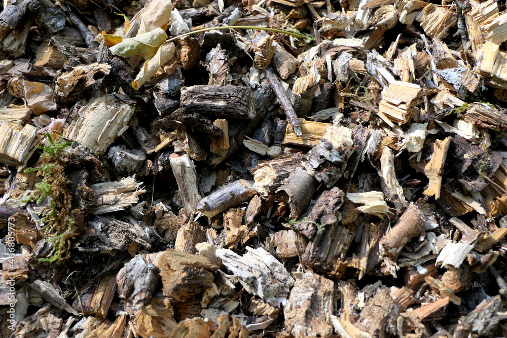 Close up of wood chippings from an electric shredder - ideal for compost or as heating material
Close up of wood chippings from an electric shredder - ideal for compost or as heating material