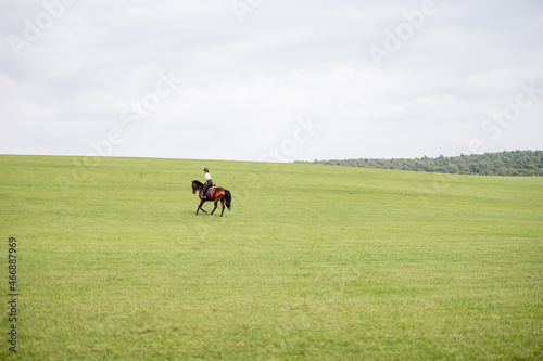 Side view of female horseman riding brown Thoroughbred horse on green meadow in countryside. Concept of rural resting and leisure. Idea of green tourism. Beautiful green landscape on sunny day