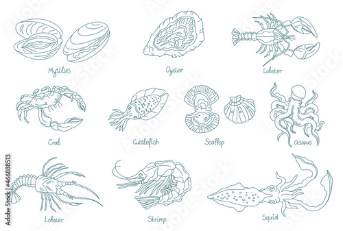 Seafood. Marine molluscs. Open paths. Editable stroke.