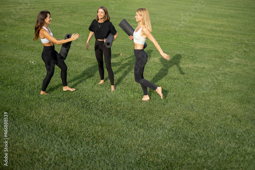 Joyful girlfriends with fitness mats bumping fists each other on green meadow. Concept of healthy lifestyle. Girls practicing yoga and doing sport exercises. Athletic women wearing sportswear