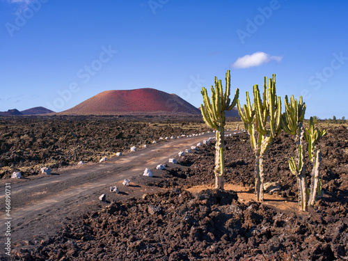Cactus, camino y la Caldera colorada, Lanzarote, españa photo