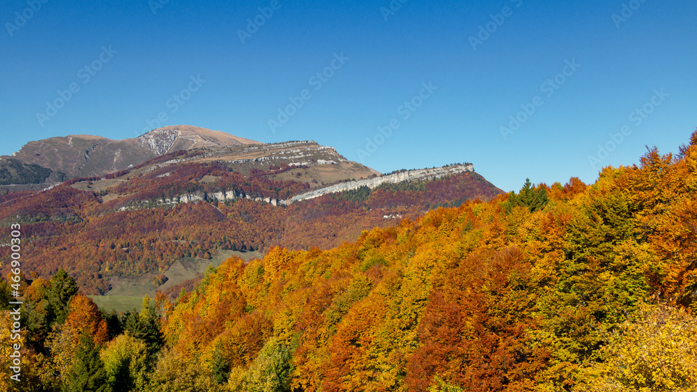 Panorama of autumn foliage on italian alps Panorama of autumn foliage on italian alps