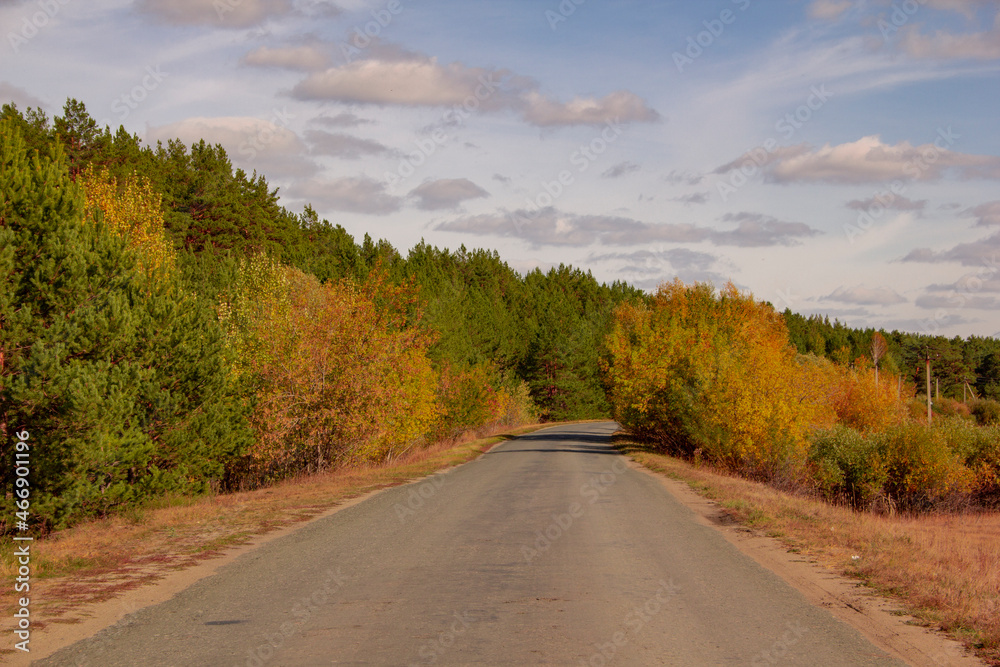 Fototapeta premium Autumn road to Mylnikovo. The road to the village of Mylnikovo in the Shadrinsky district of the Kurgan region of Russia.