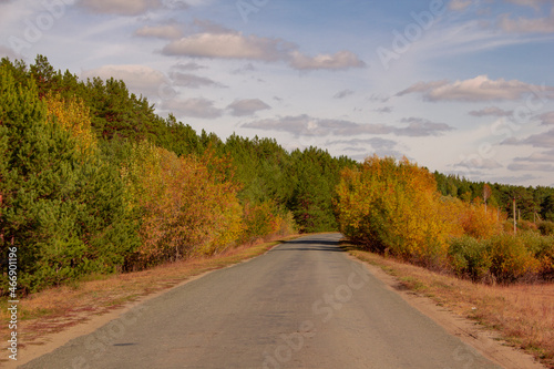 Autumn road to Mylnikovo. The road to the village of Mylnikovo in the Shadrinsky district of the Kurgan region of Russia. © Илья Юрукин