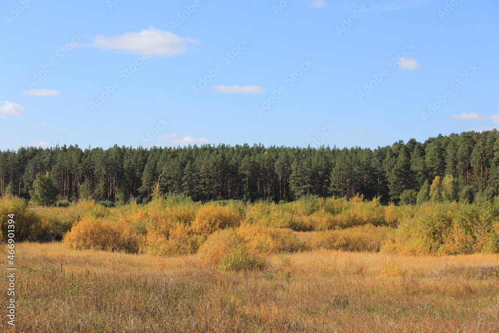Autumn overgrown field. Autumn landscape in the Urals. Shadrinsk city district. Kurgan region, Russia Autumn overgrown field. Autumn landscape in the Urals. Shadrinsk city district. Kurgan region, Russia