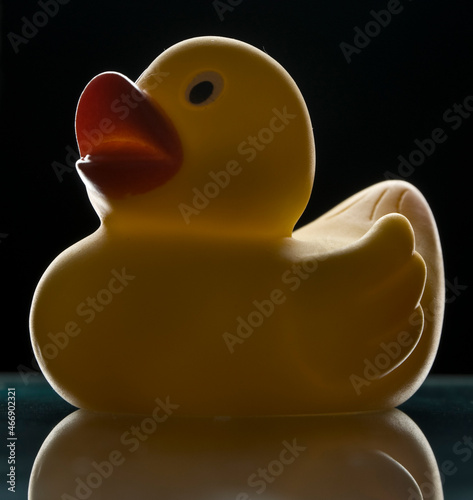 Yellow rubber duck isolated on black with rim light