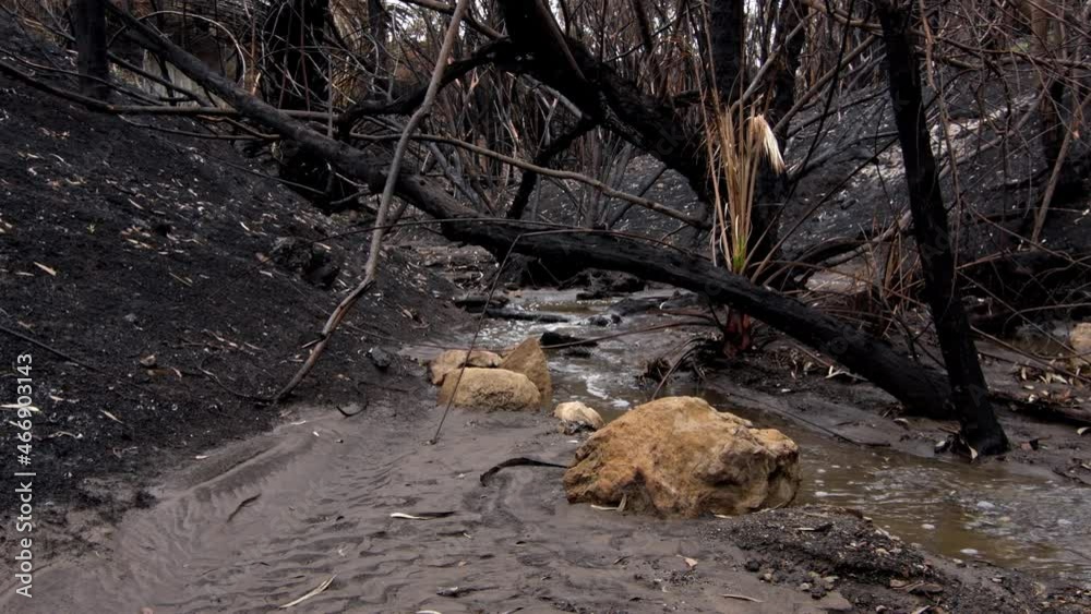 Aerial Post Woolsey Fire California Burnt Landscape
Aerial Post Woolsey Fire California Burnt Landscape