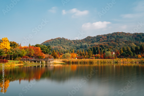 Autumn of Pureun arboretum near Hangdong Railroad in Seoul, Korea