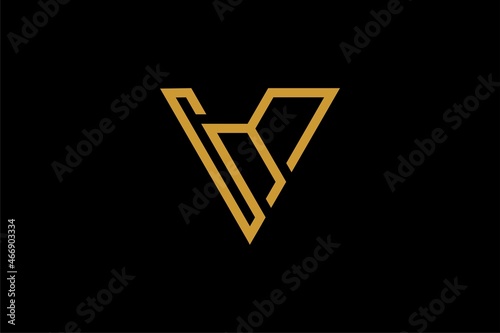 V letter logo design vector. Monogram V outline logo symbol.