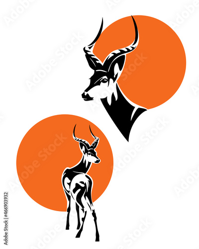 wild african antelope portrait with orange sun circle - impala profile head and standing animal vector design set photo