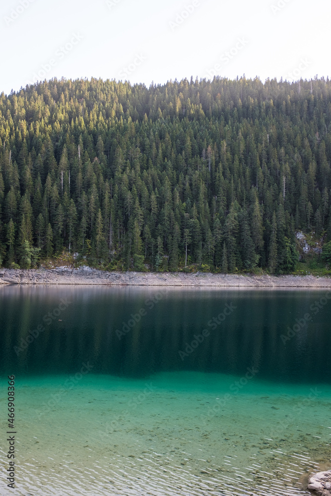 Black Lake or Crno Jezero. National park Durmitor Mouintains in Montenegro Black Lake or Crno Jezero. National park Durmitor Mouintains in Montenegro