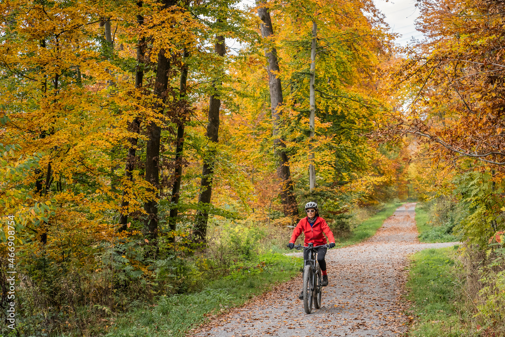 pretty senior woman ridin her electric bicycle in a colorful autumn forest with golden foliage
