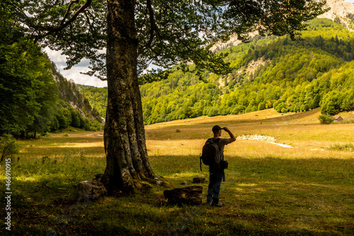 Hiker observes a panoramic view of a meadow under the shade of a beech tree photo