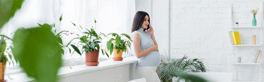 brunette pregnant woman talking on mobile phone near flowerpots in kitchen on blurred foreground, banner brunette pregnant woman talking on mobile phone near flowerpots in kitchen on blurred foreground, banner