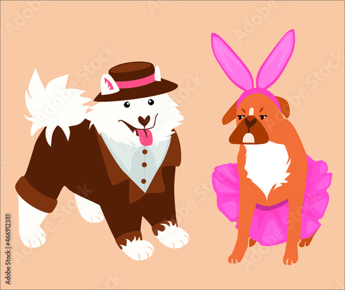 Cute vector dogs in costumes.A Samoyed dog in a formal suit with a hat, and a bulldog in a ballet tutu with rabbit ears.