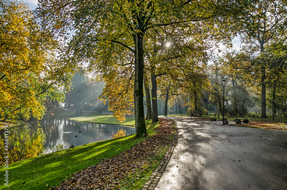 Sun shining through the trees and casting shadow patterns on paths, lawn and pond on a beautiful autumn morning in The Park in Rotterdam, The Netherlands
