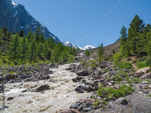 Mountain stormy river flowing from the melting winter snow. Awesome highland scenery with beautiful glacial streams among sunlit hills and rocks. Hiking trail to Aktru. Altai Mountains. © sablinstanislav