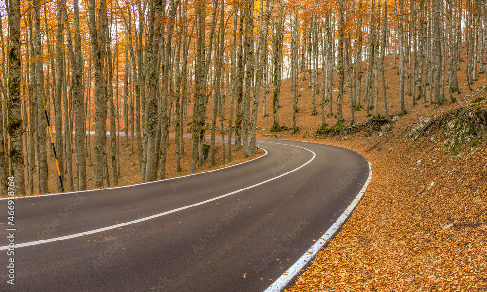 Obraz premium Forca d'Acero, Italy - right at the border between Lazio and Abruzzo, and embedded in the wonderful Abruzzo, Lazio and Molise National Park, Forca d'Acero is famous for its Autumn colors 