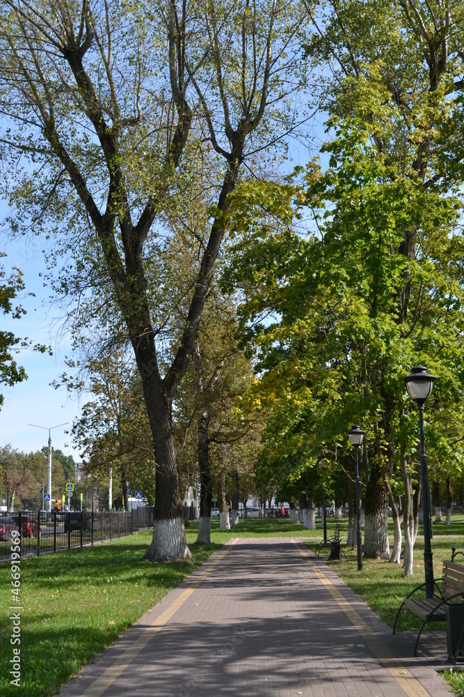 Fototapeta premium photo priroda