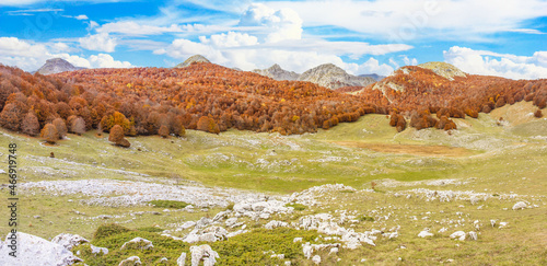 Lago Vivo, Italy - embedded in the wonderful Abruzzo, Lazio and Molise National Park, Lago Vivo is one of the most spectacular locations of the Apennine Mountains, expecially during Autumn foliage
 photo