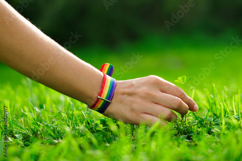 hand with rainbow lgbt bracelet holding grass clover. hand on green grass background.  © Olga