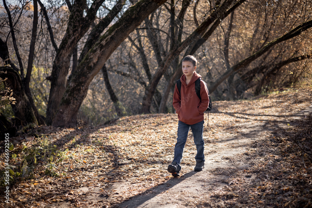 Teenager boy with backpack walking on path in autumn park. Active lifestyle, Back to school. Student boy in fall forest. Teenager boy with backpack walking on path in autumn park. Active lifestyle, Back to school. Student boy in fall forest.