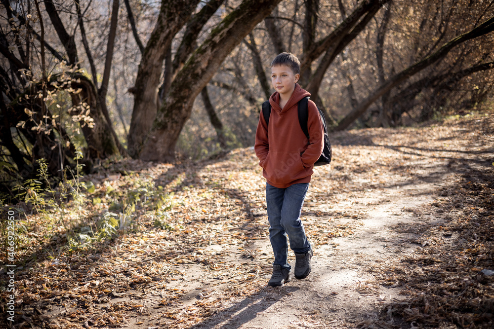 Teenager boy with backpack walking on path in autumn park. Active lifestyle, Back to school. Student boy in fall forest. Teenager boy with backpack walking on path in autumn park. Active lifestyle, Back to school. Student boy in fall forest.
