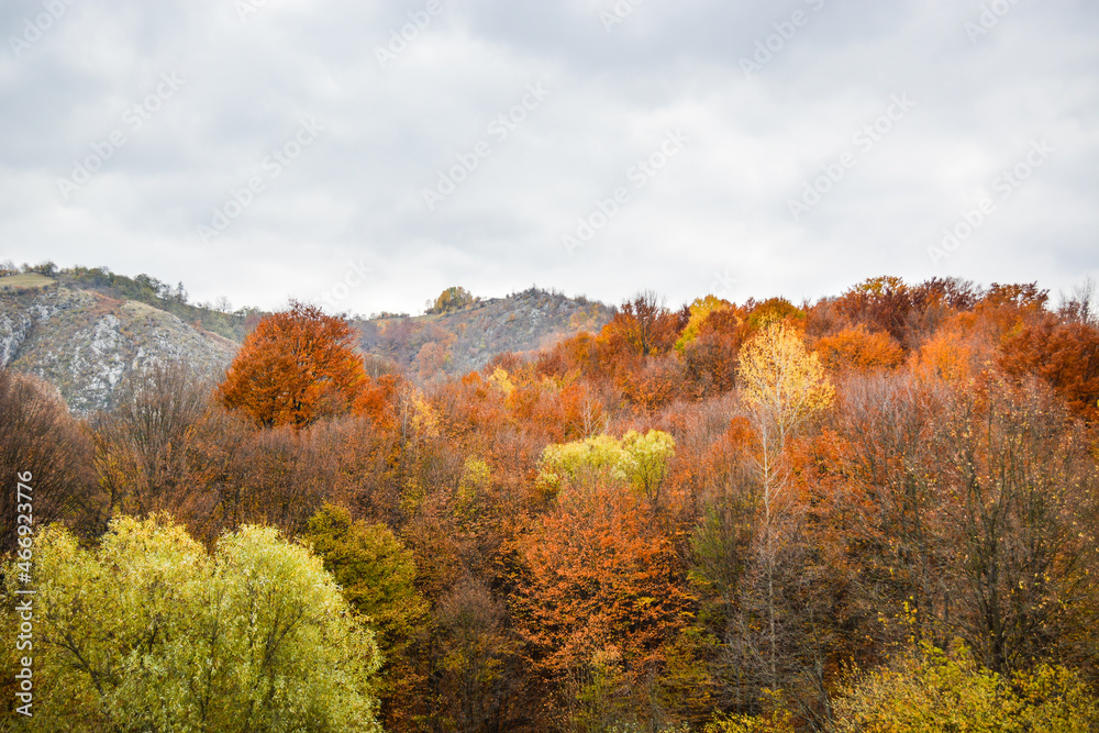Fototapeta premium Mountain Autumn scenery with colorful trees
